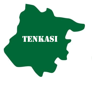 Tenkasi